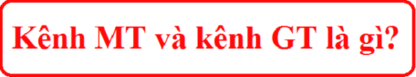 GT khác gì MT? Hiểu rõ hơn về sự khác biệt của hai thuật ngữ